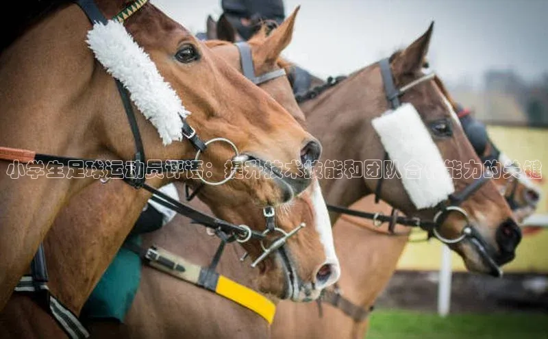 非凡棋牌福石控股小学生足球运动员评语：提升技术技能和团队合作能力的关键