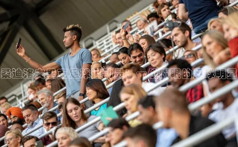 非凡娱乐百度营销中心桑迪洛夫里克足球运动员：一位耀眼的足球明星