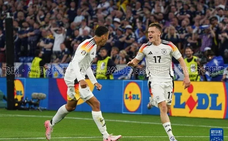 飞跃·：国内旅游与运动赛事公司的未来机遇与挑战分析报告