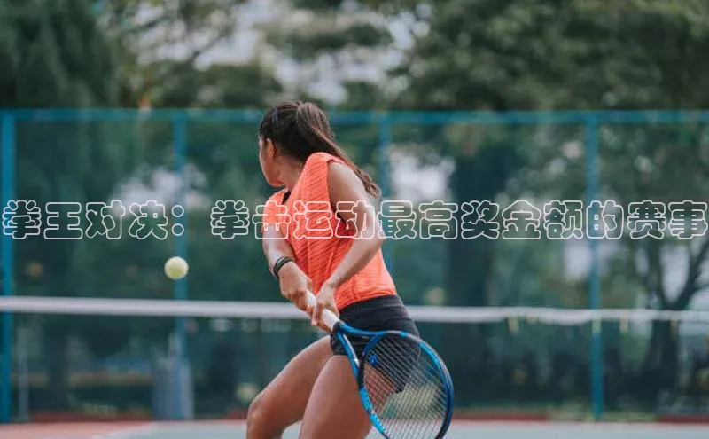 拳王对决：拳击运动最高奖金额的赛事