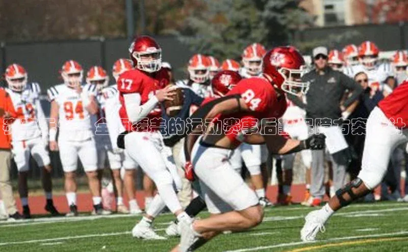 赛事无忧：全面覆盖的运动赛事后勤保障方案设计