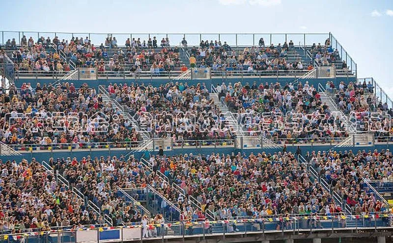 广东运动会：省内的体育盛事与文化活动