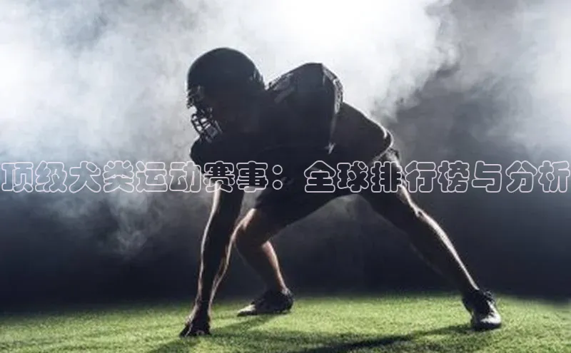 顶级犬类运动赛事：全球排行榜与分析