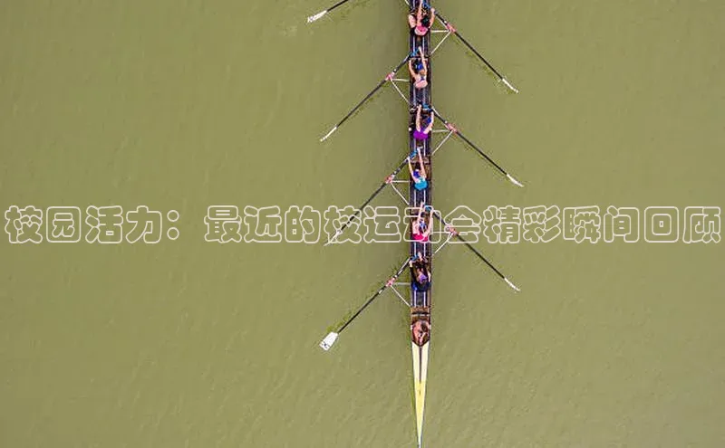 校园活力：最近的校运动会精彩瞬间回顾