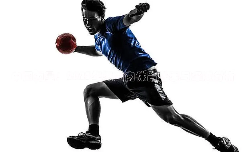 中国力量：2023年度国内体育盛事与深度分析