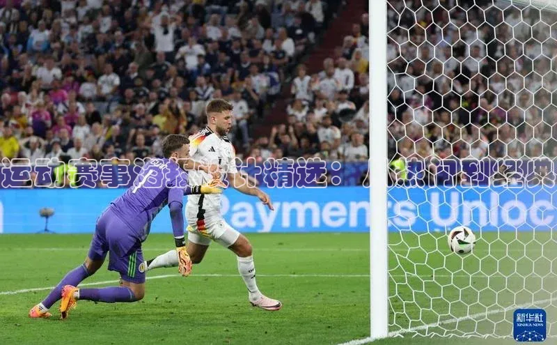 非凡体育2121app官网版